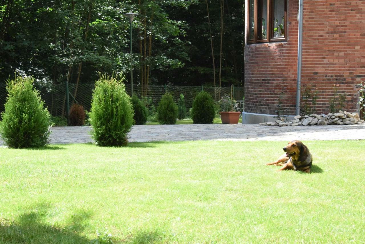 Willa Alkor Drzensko  Exterior foto